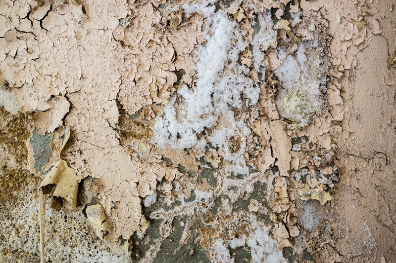 Comment se débarrasser du salpêtre